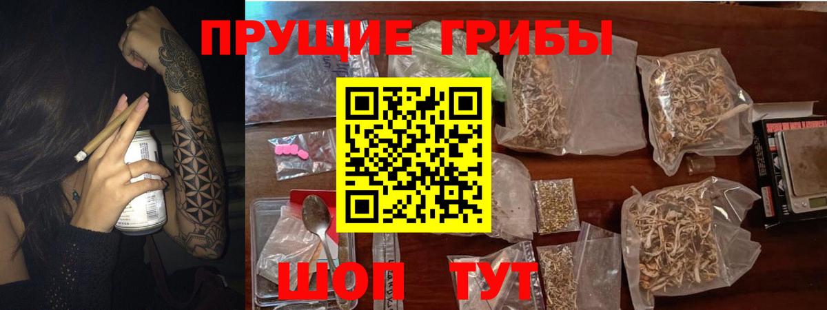 Галлюциногенные грибы Cubensis  Вход с VPN  закладки  Вичуга  Псилоцибиновые грибы Magic Shrooms 